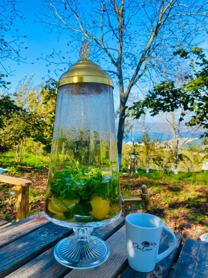 Phalesia Glamping Otel Sapanca Exteriör bild