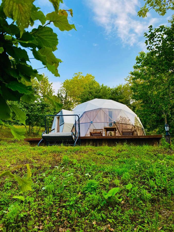 Phalesia Glamping Otel Sapanca Exteriör bild