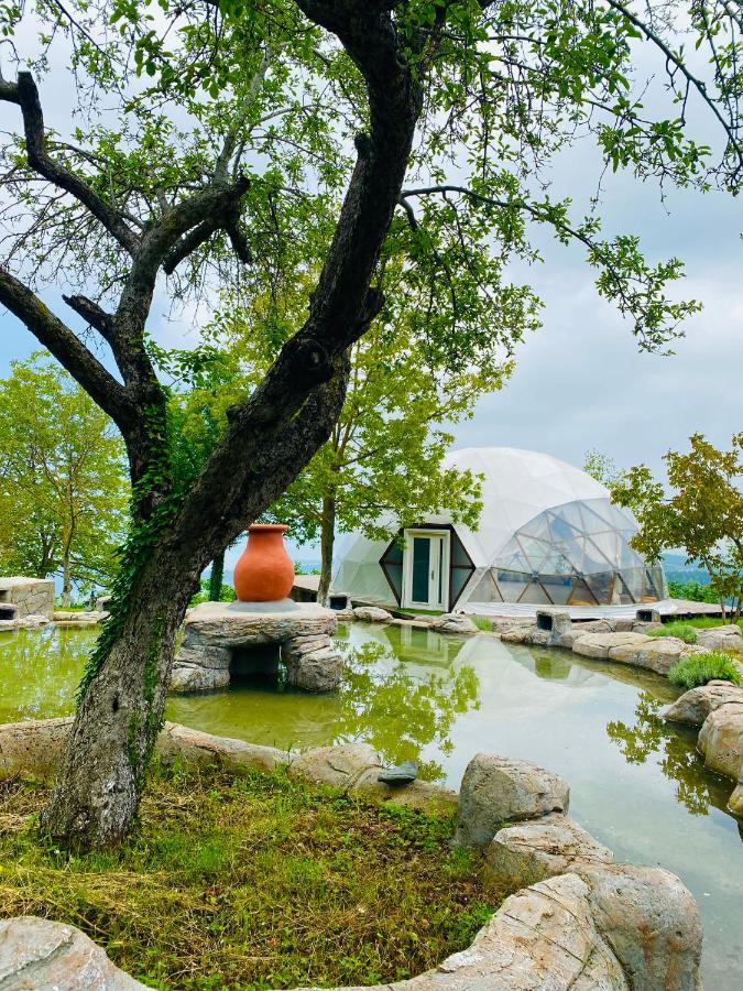 Phalesia Glamping Otel Sapanca Exteriör bild