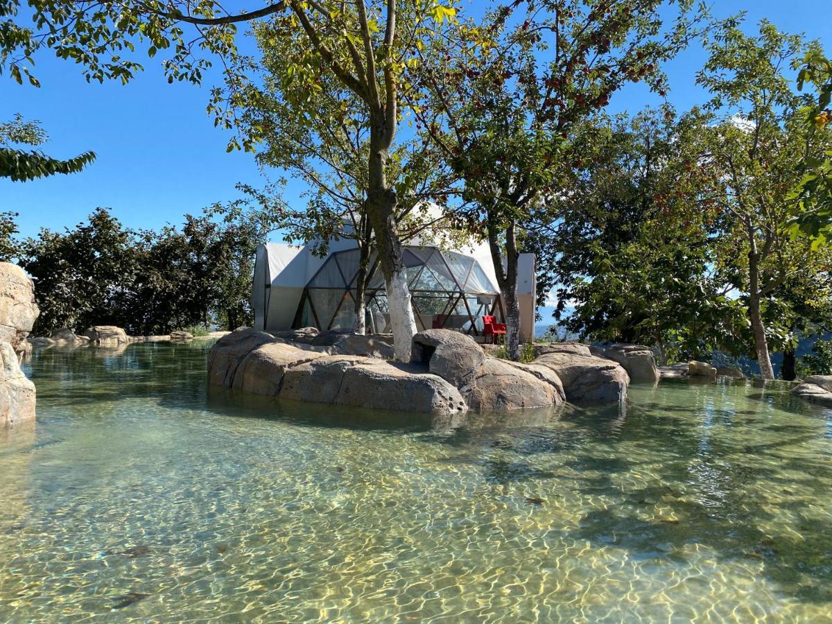 Phalesia Glamping Otel Sapanca Exteriör bild