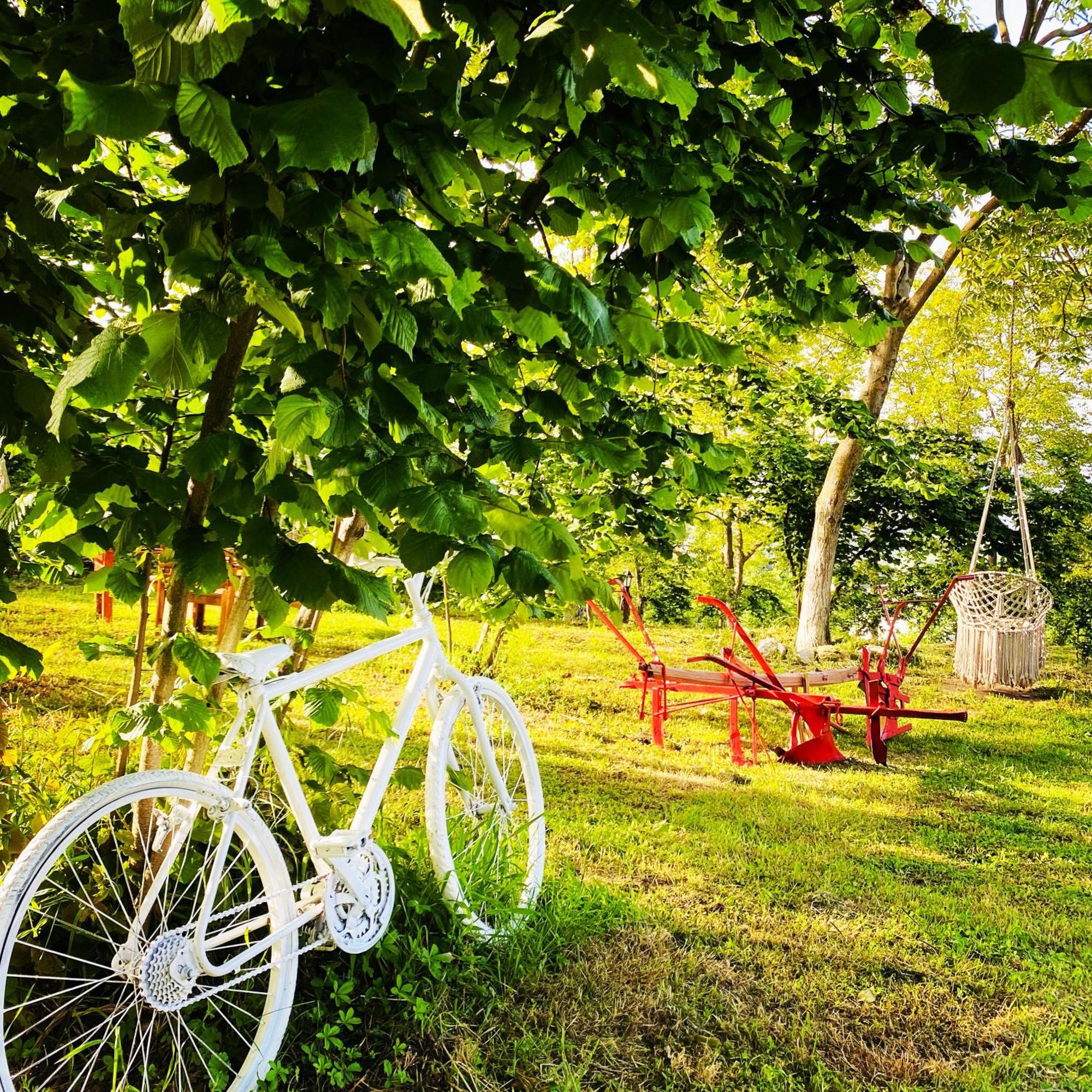 Phalesia Glamping Otel Sapanca Exteriör bild